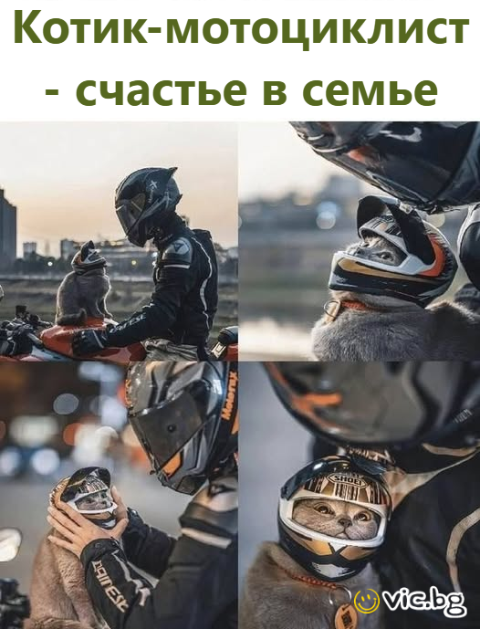 Котик-мотоциклист - счастье в семье