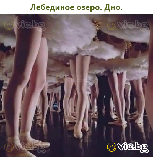 Лебединое озеро. Дно.