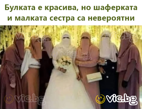 Легко представить, насколько большая эта кошка, если сравнить её с бритвой.