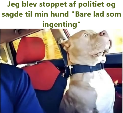 Люблю мужчин с хорошим чувством юмора!