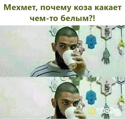 Мехмет, почему коза какает чем-то белым?!