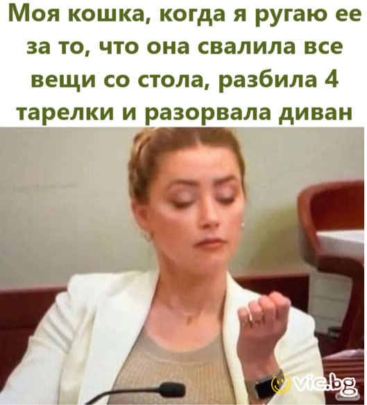 Моя кошка, когда я ругаю ее за то, что она свалила все вещи со стола, разбила 4 тарелки и разорвала диван