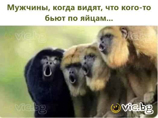 Мужчины, когда видят, что кого-то бьют по яйцам...