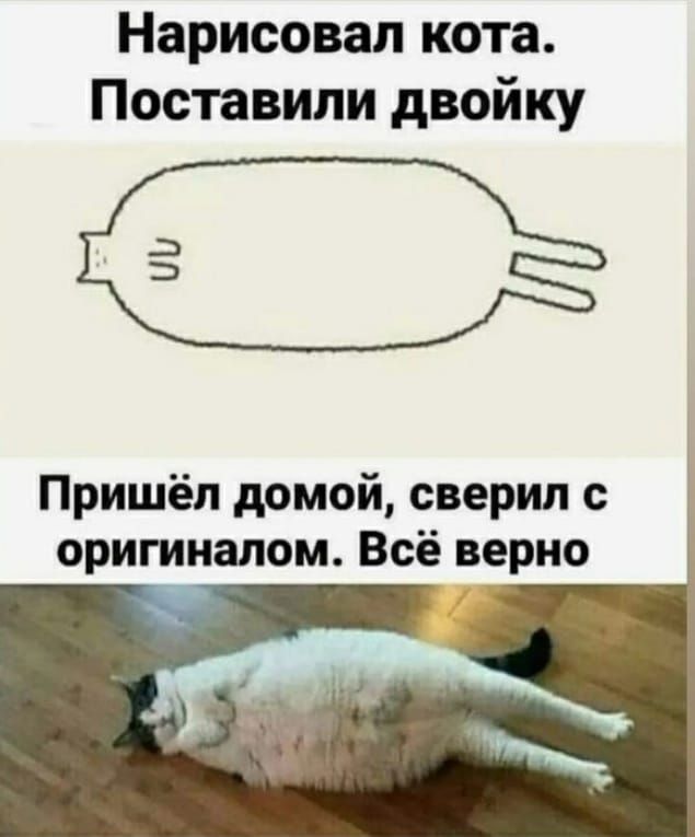 Нарисовал кота. Поставили двойку. Пришёл домой, сверил с оригиналом. Всё верно