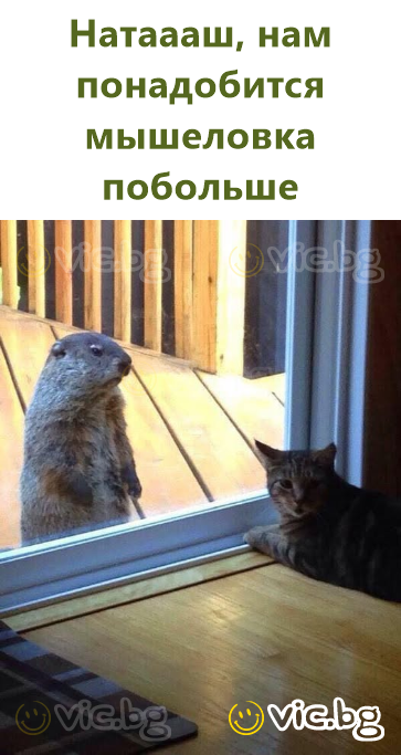 Натаааш, нам понадобится мышеловка побольше