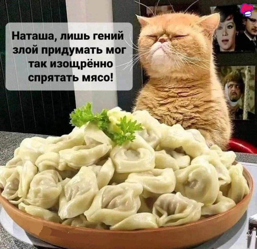 Наташа, лишь гений злой придумать мог так изощрённо спрятать мясо!