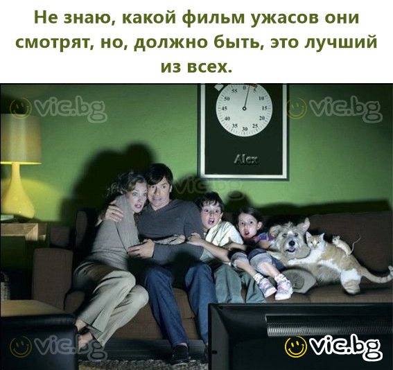 Не знаю, какой фильм ужасов они смотрят, но, должно быть, это лучший из всех.