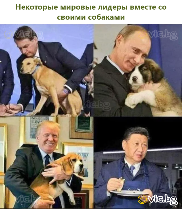 Некоторые мировые лидеры вместе со своими собаками