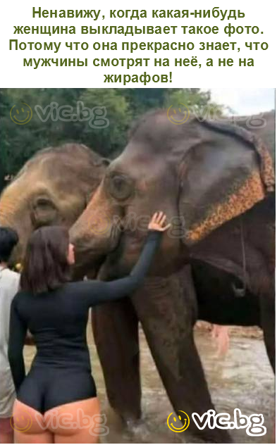 Ненавижу, когда какая-нибудь женщина выкладывает такое фото.
Потому что она прекрасно знает, что мужчины смотрят на неё, а не на жирафов!