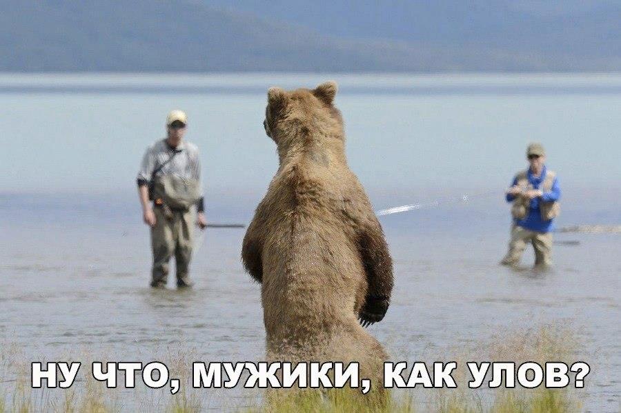 Ну что, мужики, как улов?