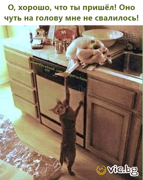 О, хорошо, что ты пришёл! Оно чуть на голову мне не свалилось!