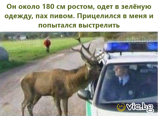 Он около 180 см ростом, одет в зелёную одежду, пах пивом. Прицелился в меня и попытался выстрелить