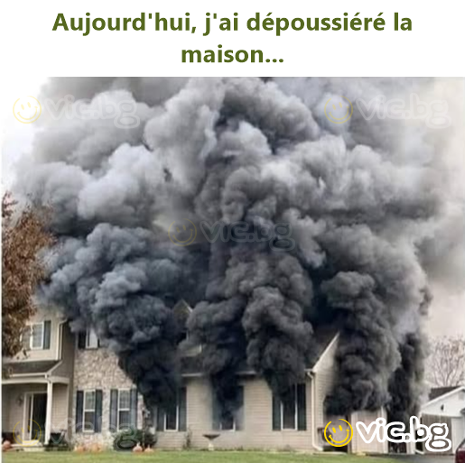 Погода не очень подходит для прогулки с собакой