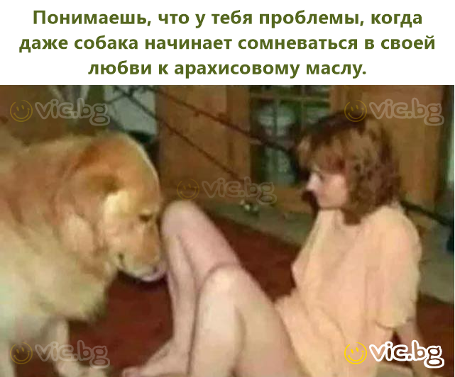 Понимаешь, что у тебя проблемы, когда даже собака начинает сомневаться в своей любви к арахисовому маслу.