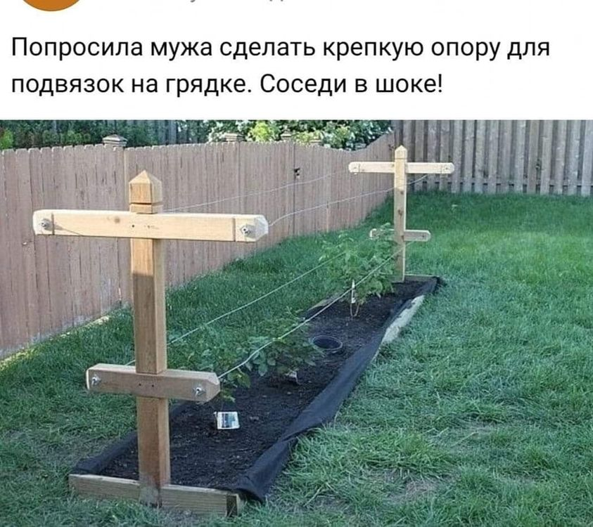 Попросила мужа сделать крепкую опору для подвязок на грядке.  Соседи в шоке!