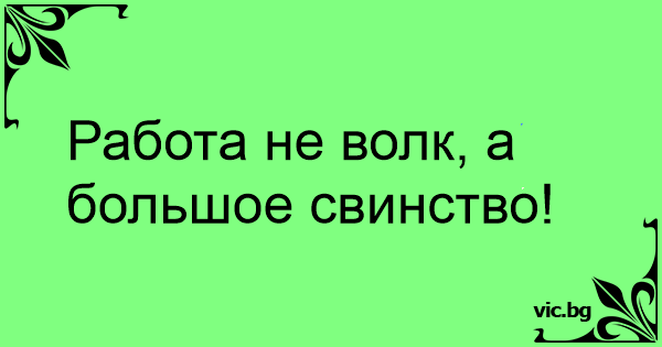 Картинки любопытство не порок а большое свинство