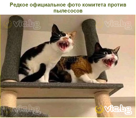 Редкое официальное фото комитета против пылесосов