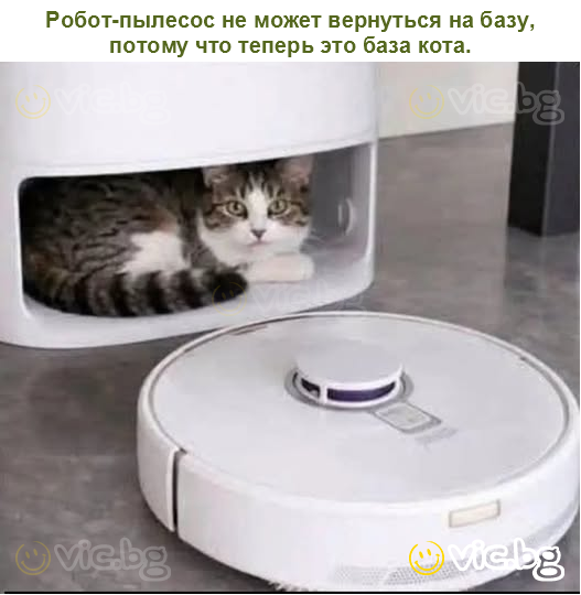 Робот-пылесос не может вернуться на базу, потому что теперь это база кота.