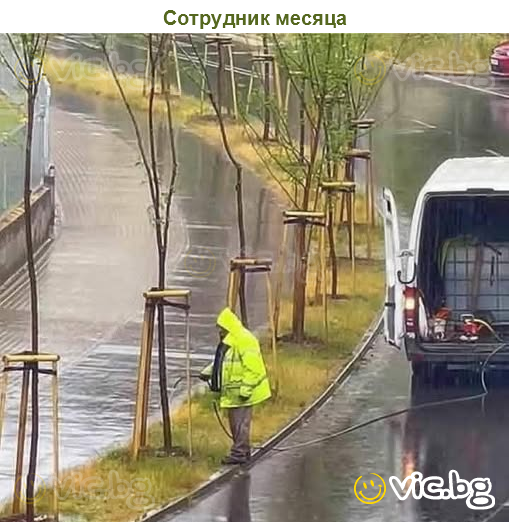 Сотрудник месяца