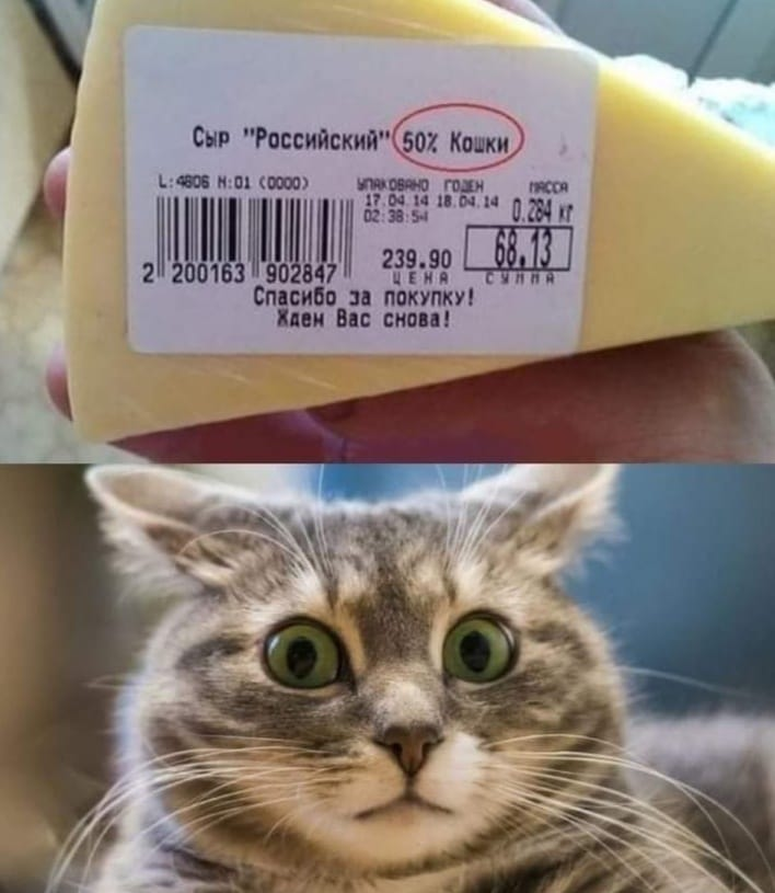 Сыр "Российский"	50% Кошки
