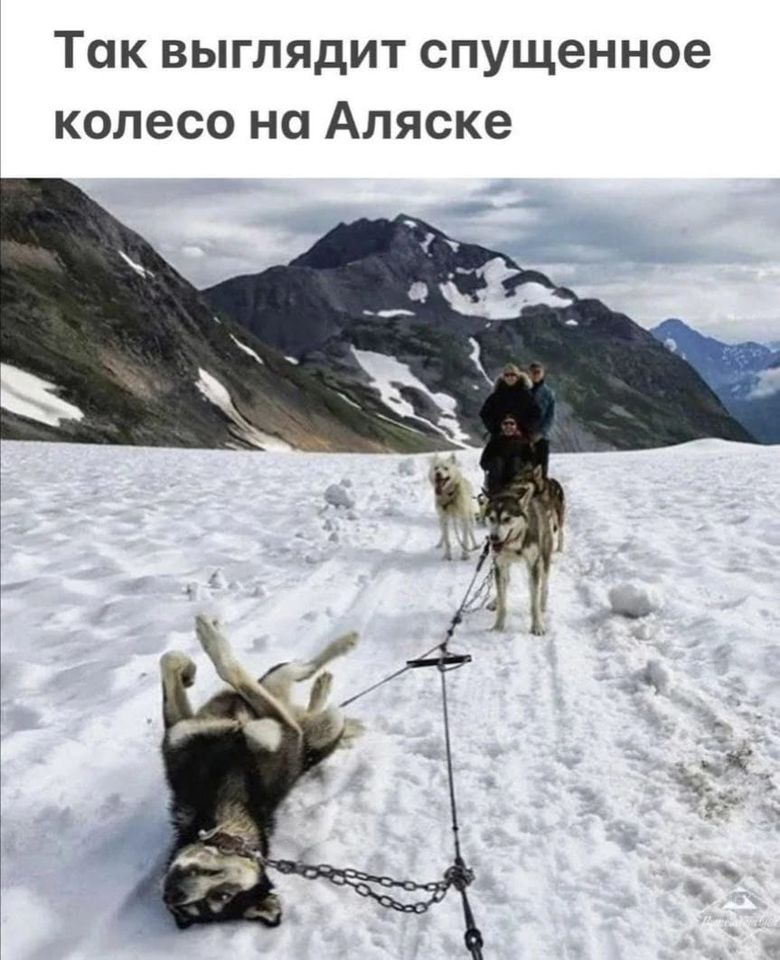 Так выглядит спущенное колесо на Аляске