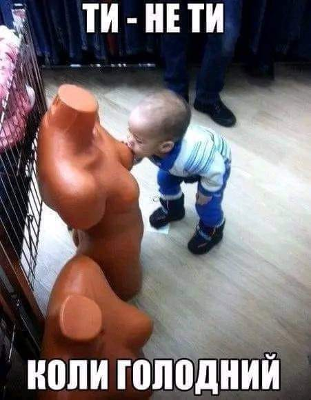 Ти - не ти коли голоднии