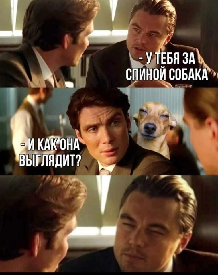 - У тебя за спиной собака. - И как она выглядит?