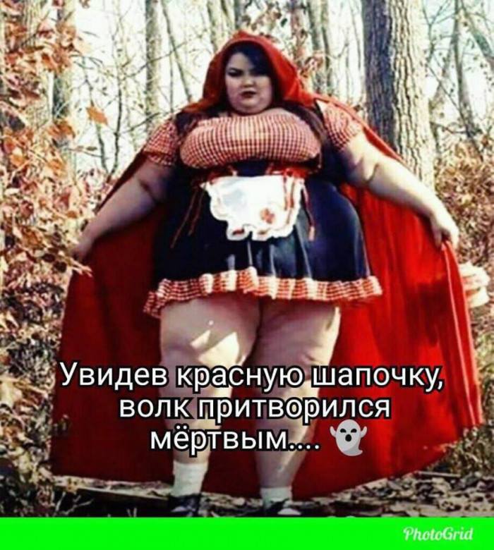 Увидев красную шапочку, волк притворился мертвым