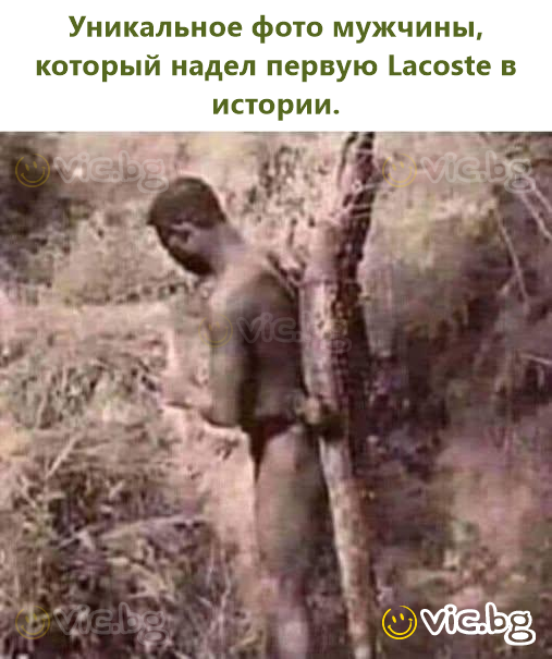 Уникальное фото мужчины, который надел первую Lacoste в истории.