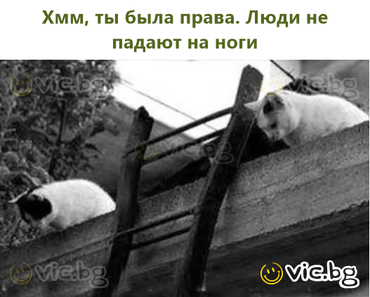 Хмм, ты была права. Люди не падают на ноги