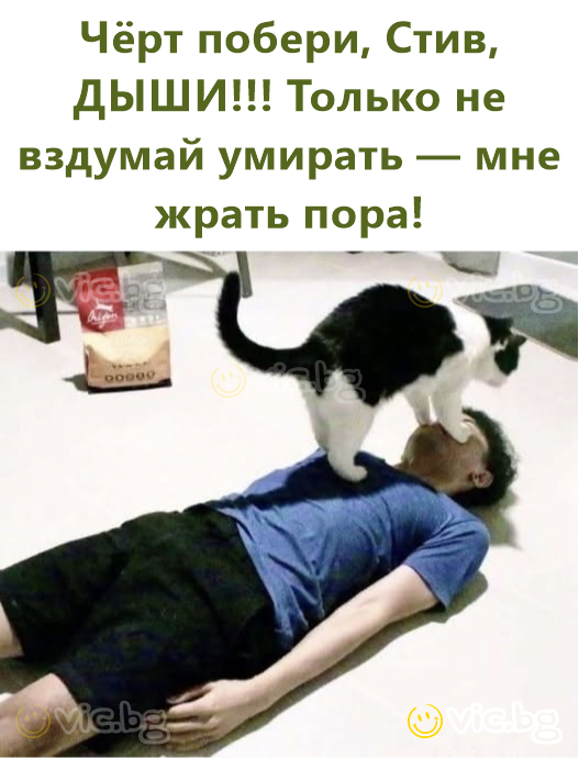 Чёрт побери, Стив, ДЫШИ!!! Только не вздумай умирать — мне жрать пора!