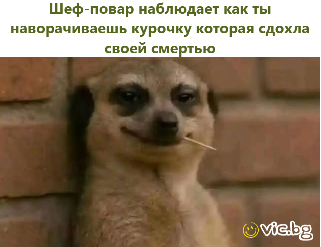 Шеф-повар наблюдает как ты наворачиваешь курочку которая сдохла своей смертью