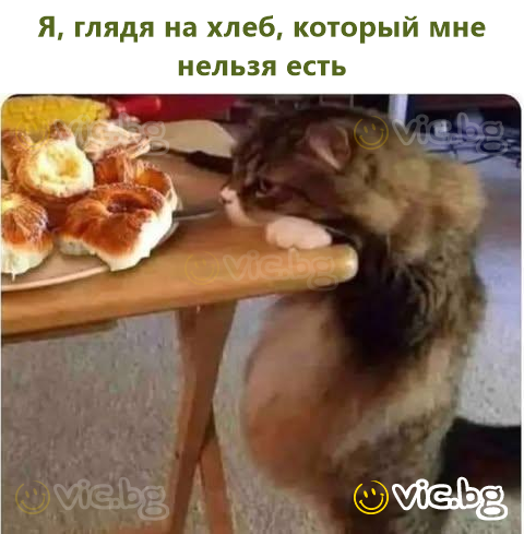 Я, глядя на хлеб, который мне нельзя есть