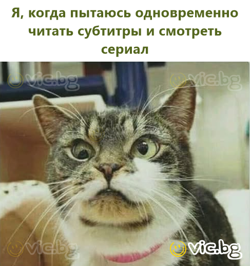Я, когда пытаюсь одновременно читать субтитры и смотреть сериал