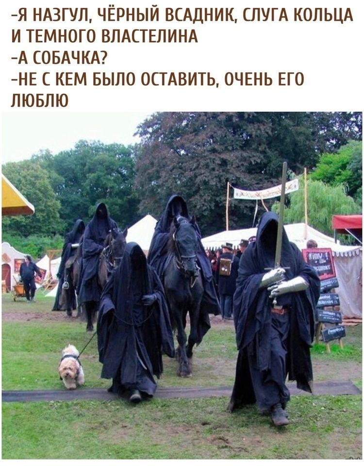 - Я назгул, чёрный всадник, слуга кольца и темного властелина. - А собачка? - Не с кем было оставить, очень его люблю