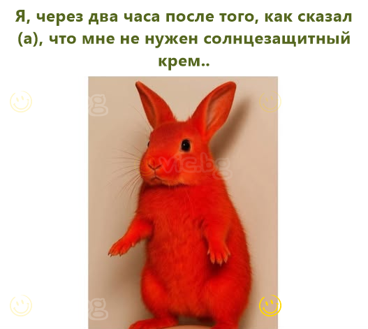 Я, через два часа после того, как сказал(а), что мне не нужен солнцезащитный крем..