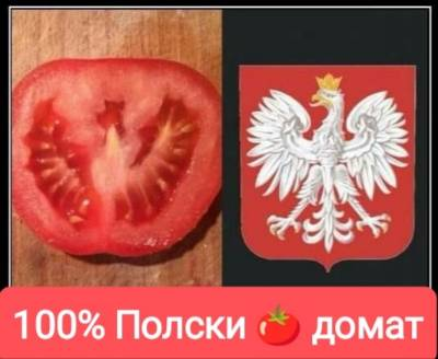 100% полски домат