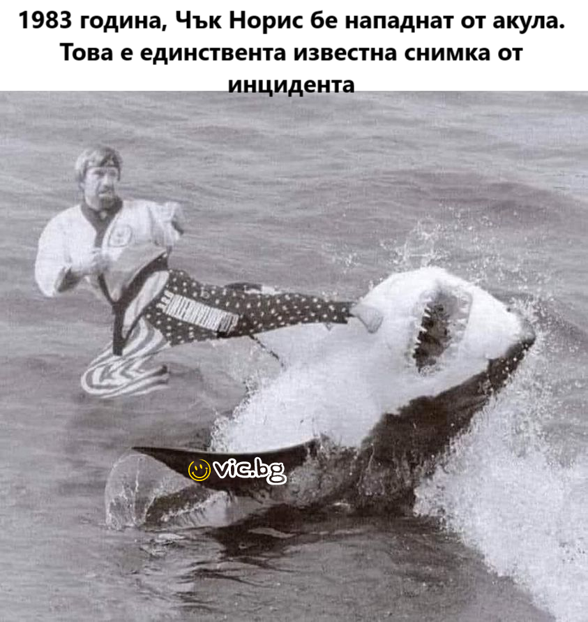 1983 година, Чък Норис бе нападнат от акула. Това е единствента известна снимка от инцидента