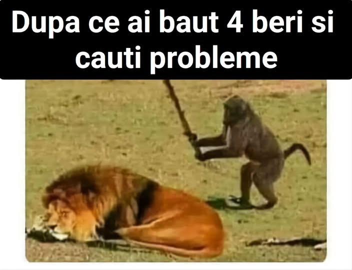 Dupa ce ai baut 4 beri si cauti probleme