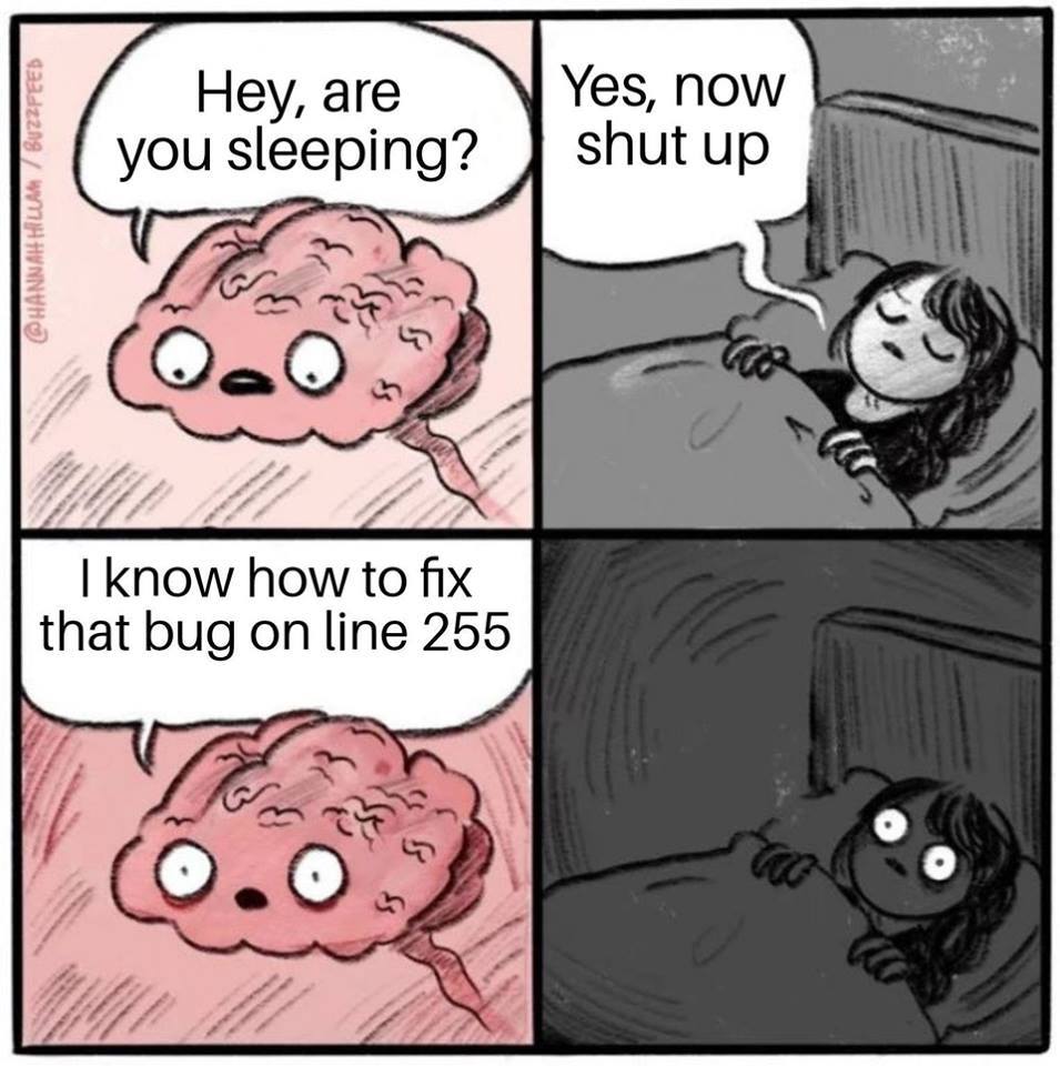 Hey, are you sleeping? - Yes, now shut up! - I know how to gix that bug on line 256