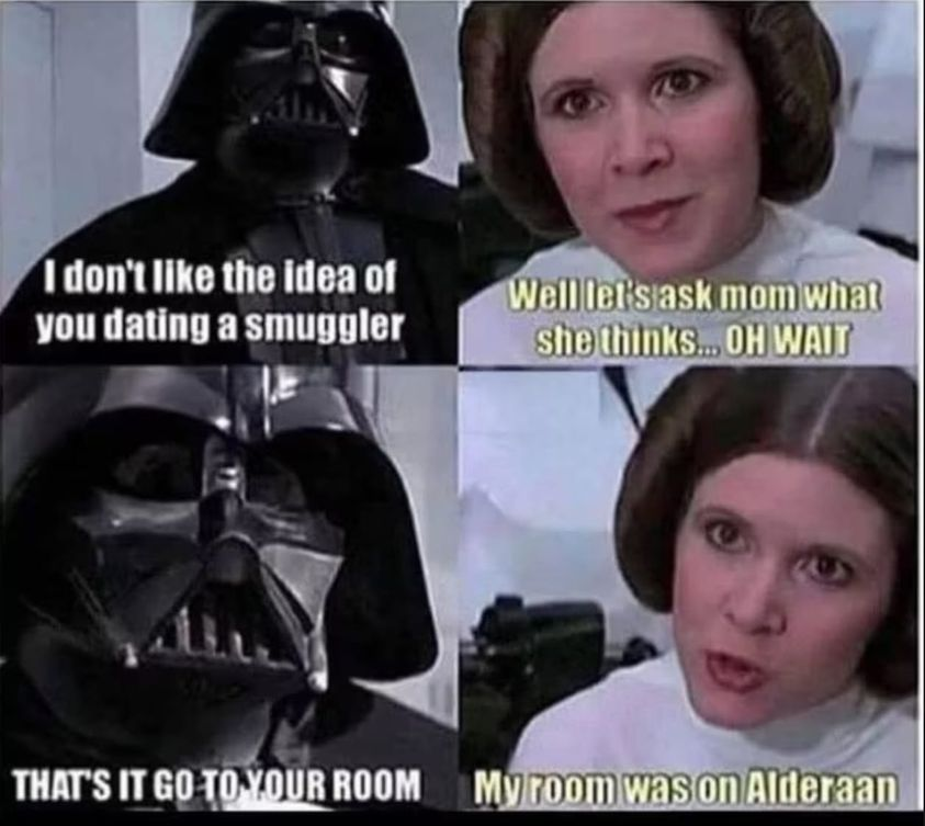 I don't like the idea of you dating a smuggler. Well let's ask mom what she thinks.. OH WAIT. That's it go to you room. My room was on Alderaan