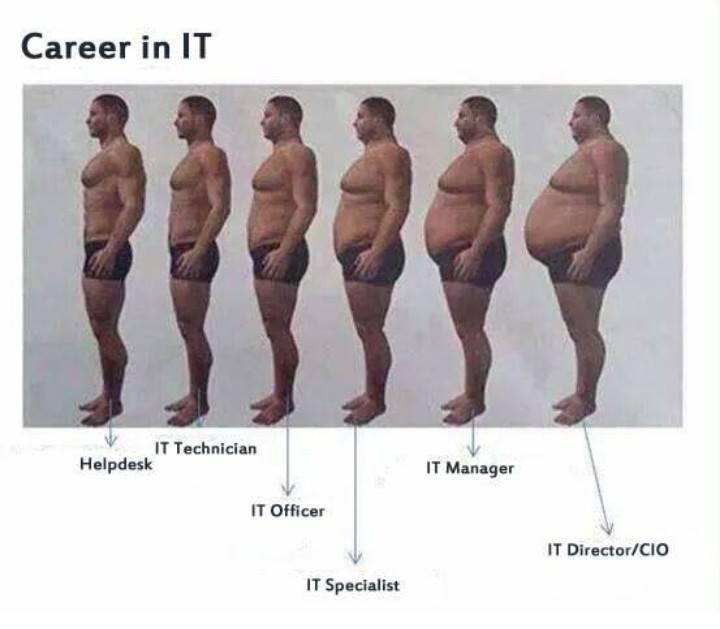 IT кариерейна стълбица