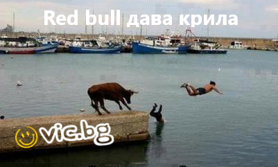 Red bull дава крила