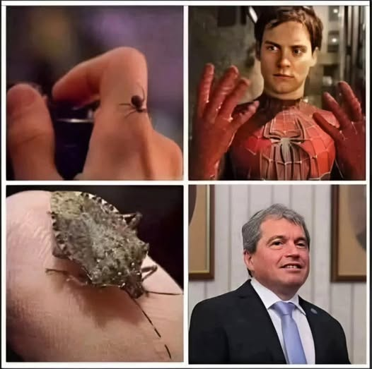 Spidermen vs Тошко