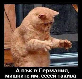 А пък в Германия мишките им са ей такива