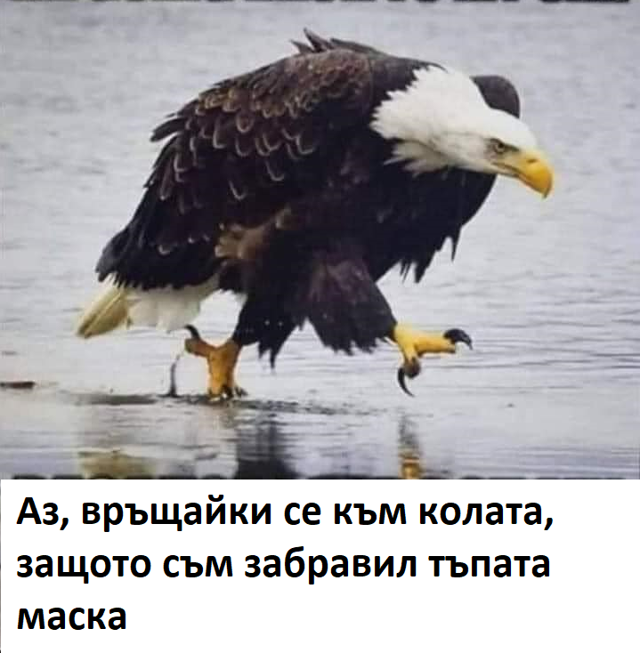 Аз, връщайки се към колата, защото съм забравил тъпата маска маска