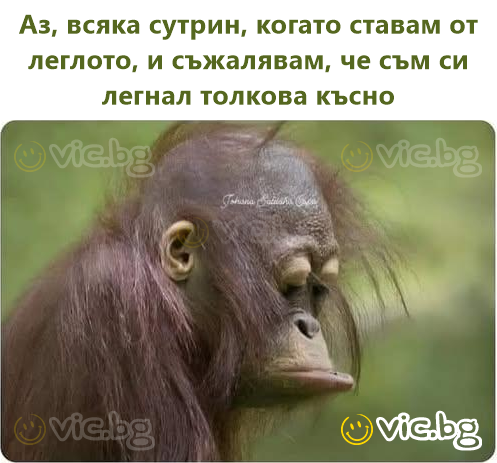 Аз, всяка сутрин, когато ставам от леглото, и съжалявам, че съм си легнал толкова късно