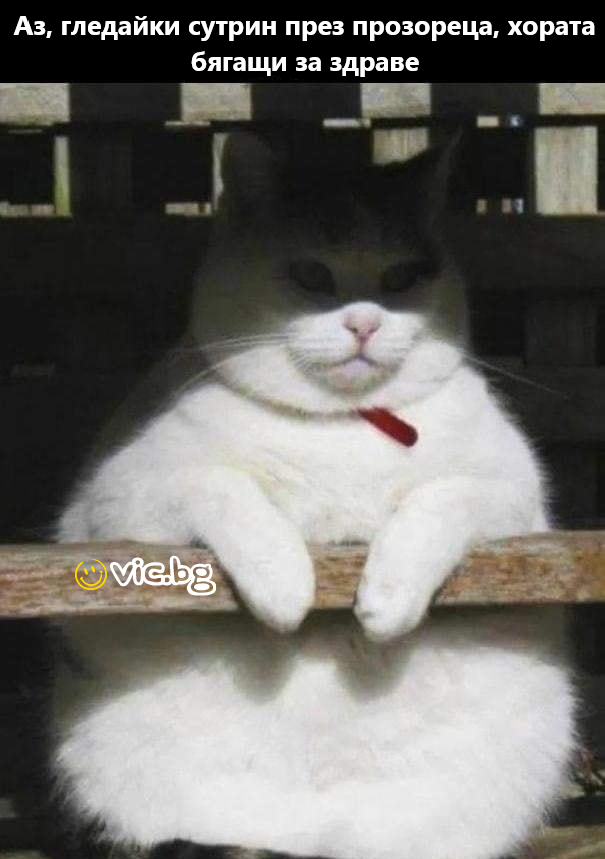 Аз, гледайки сутрин през прозореца, хората бягащи за здраве