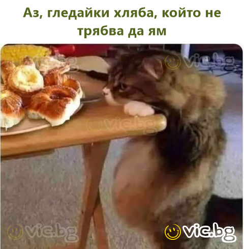 Аз, гледайки хляба, който не трябва да ям