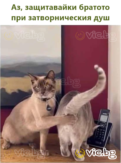 Аз, защитавайки братото при затворническия душ